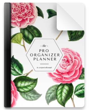 Undated Pro Organizer Planner (3 Designs to Choose From)